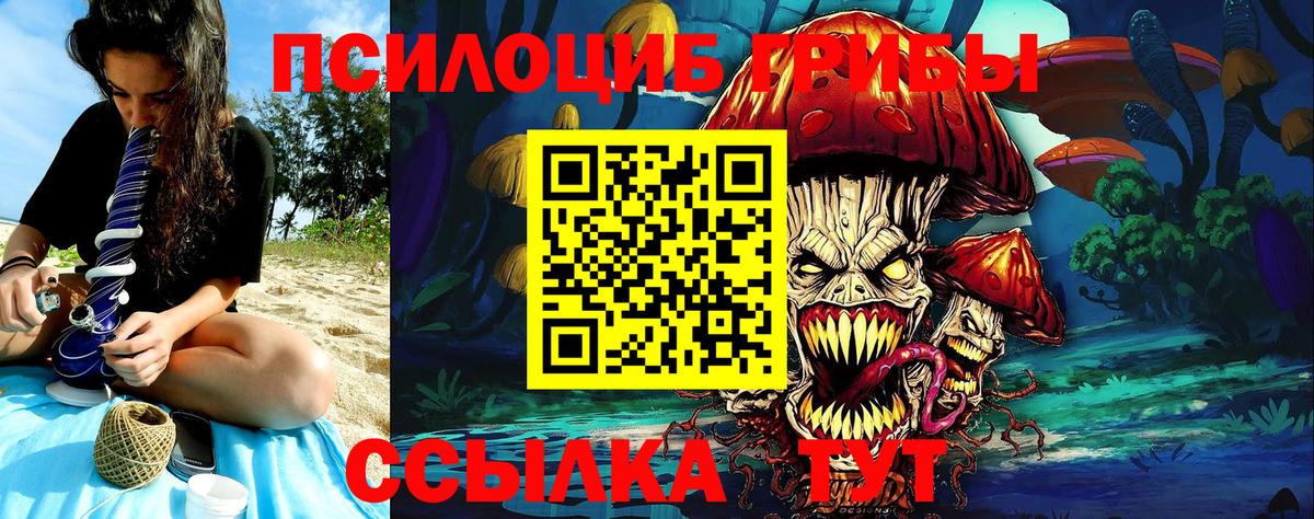 Истра  Псилоцибиновые грибы GOLDEN TEACHER  где купить наркоту  Вход с VPN 
